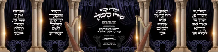 Graphic design by Avrumy, New York design studio (284)