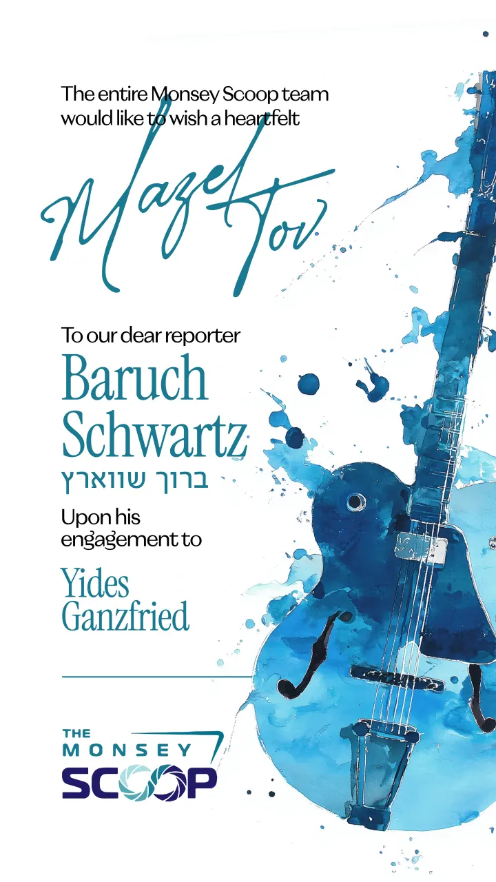 Graphic design by Avrumy, New York design studio (319)