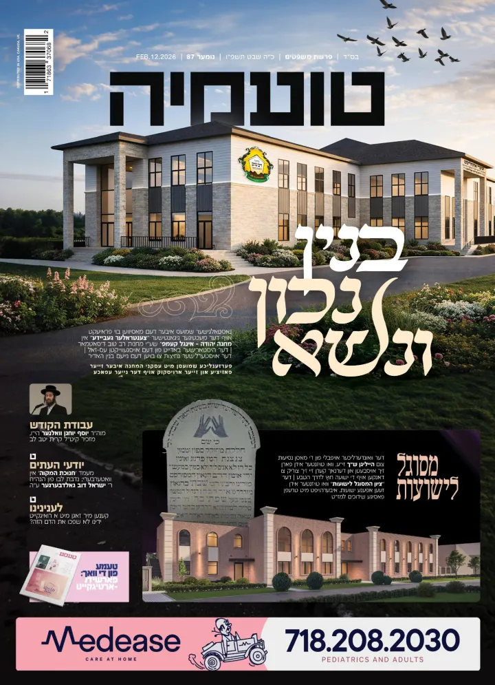 Graphic design by Avrumy, New York design studio (298)