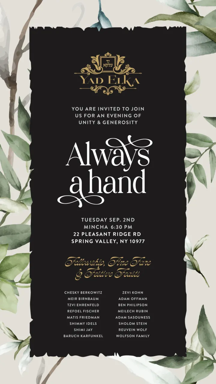 Graphic design by Avrumy, New York design studio (48)