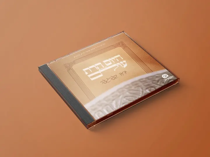 Graphic design by Avrumy, New York design studio (79)