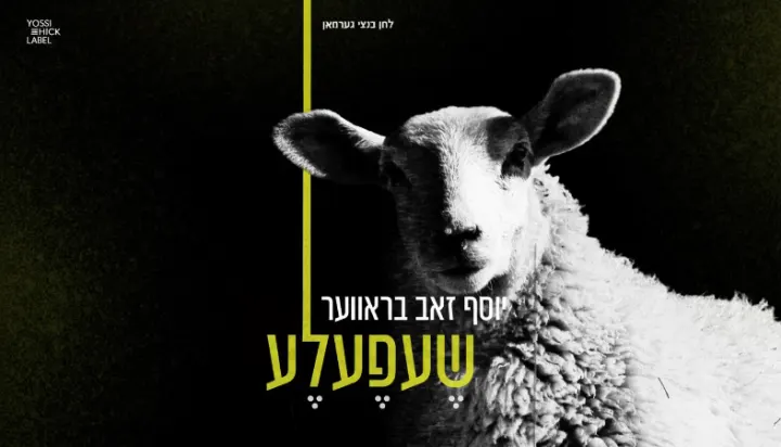 Graphic design by Avrumy, New York design studio (166)