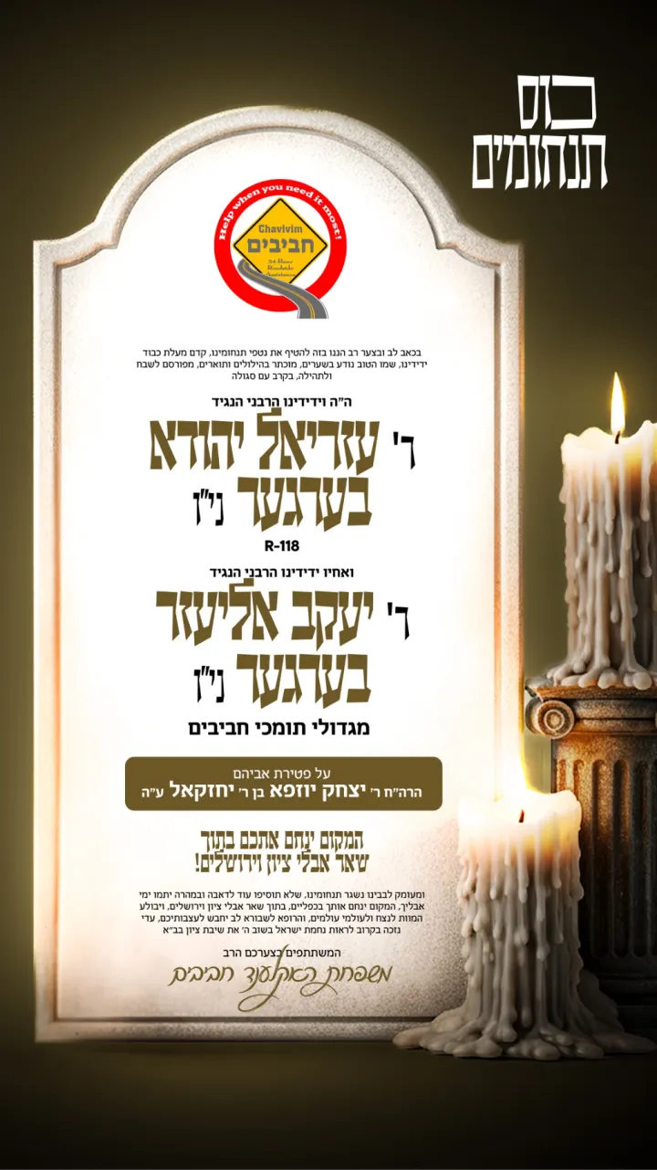 Graphic design by Avrumy, New York design studio (115)