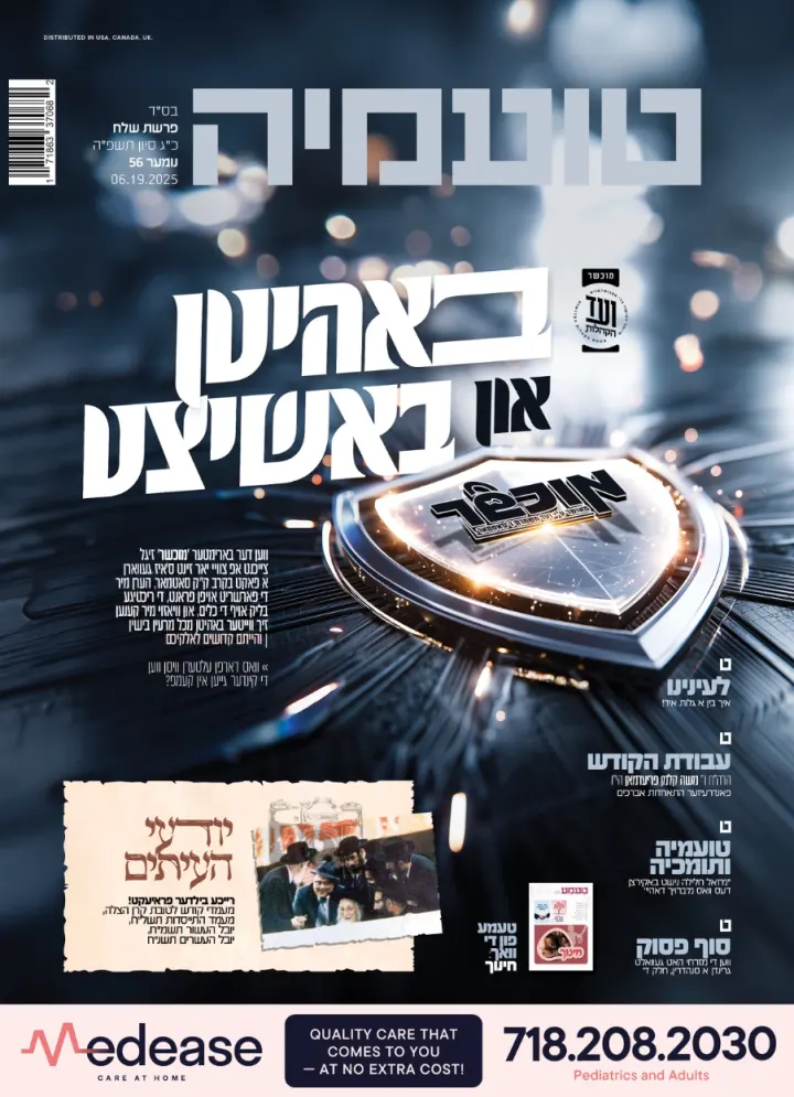 Graphic design by Avrumy, New York design studio (155)