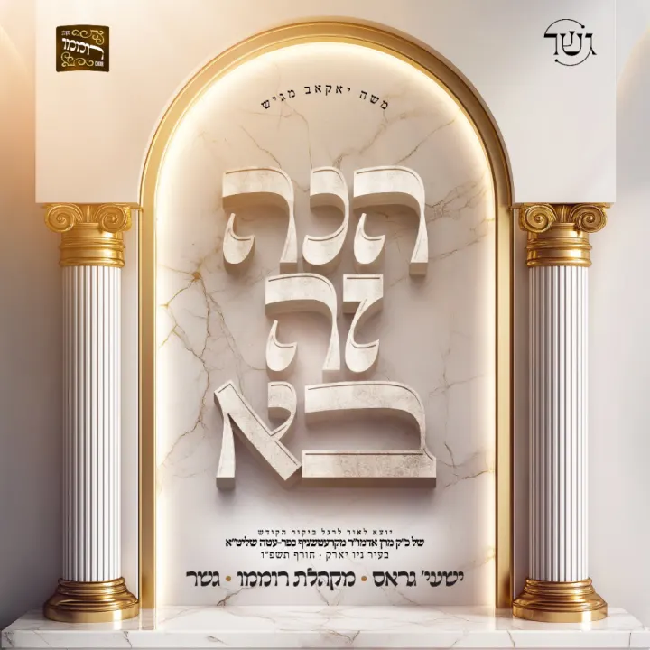 Graphic design by Avrumy, New York design studio (300)