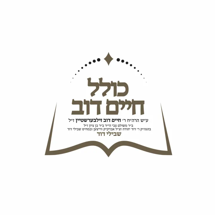 Graphic design by Avrumy, New York design studio (240)