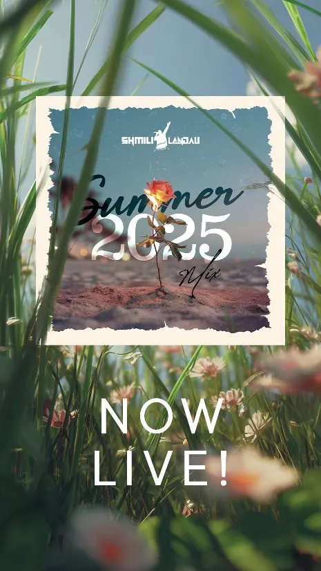 Graphic design by Avrumy, New York design studio (267)