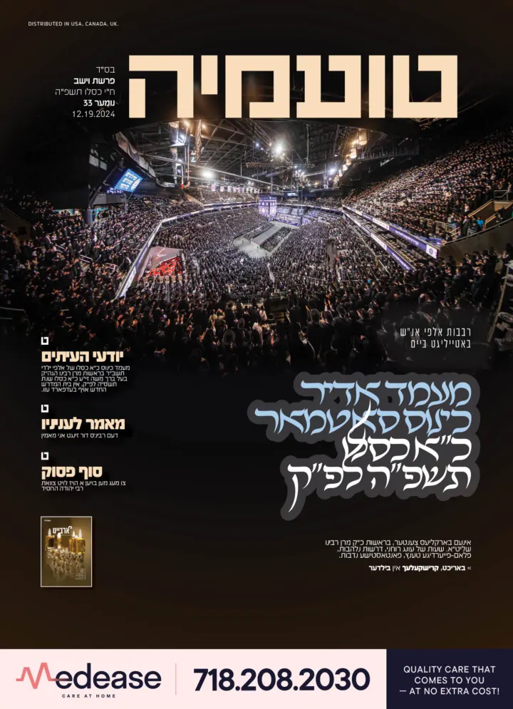 Graphic design by Avrumy, New York design studio (205)