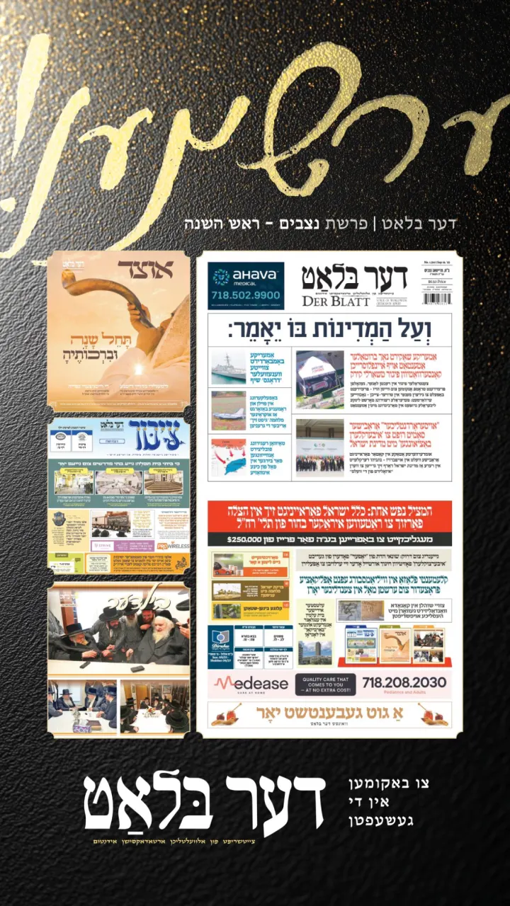 Graphic design by Avrumy, New York design studio (4)
