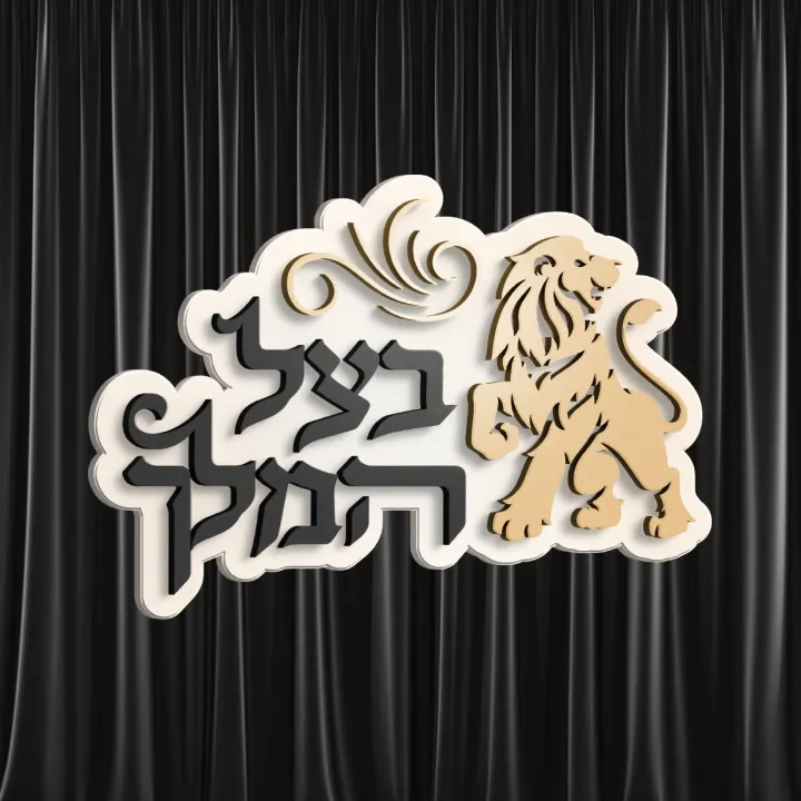 Graphic design by Avrumy, New York design studio (124)