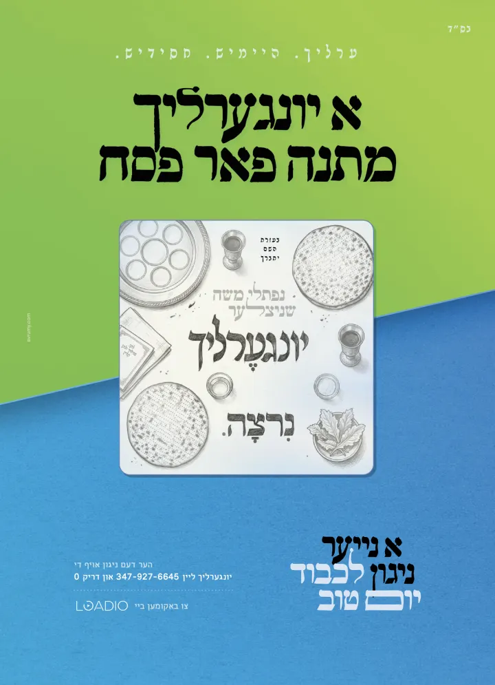Graphic design by Avrumy, New York design studio (329)