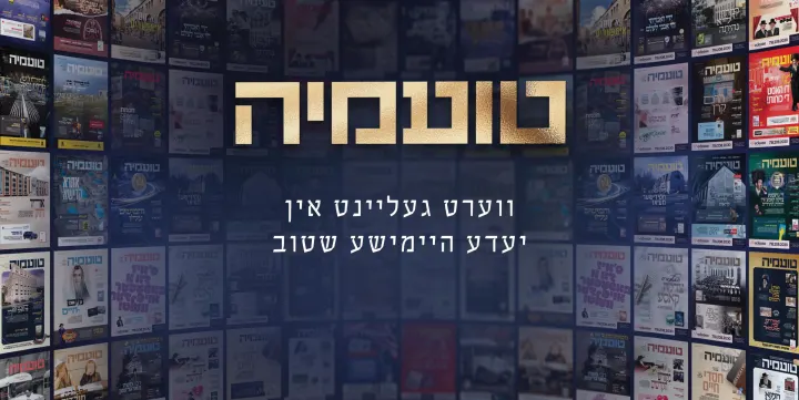 Graphic design by Avrumy, New York design studio (40)