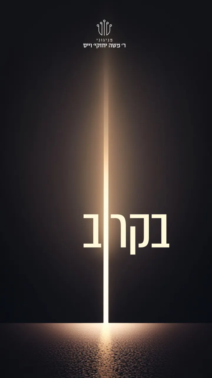Graphic design by Avrumy, New York design studio (207)