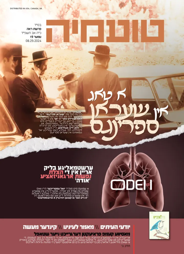 Graphic design by Avrumy, New York design studio (161)