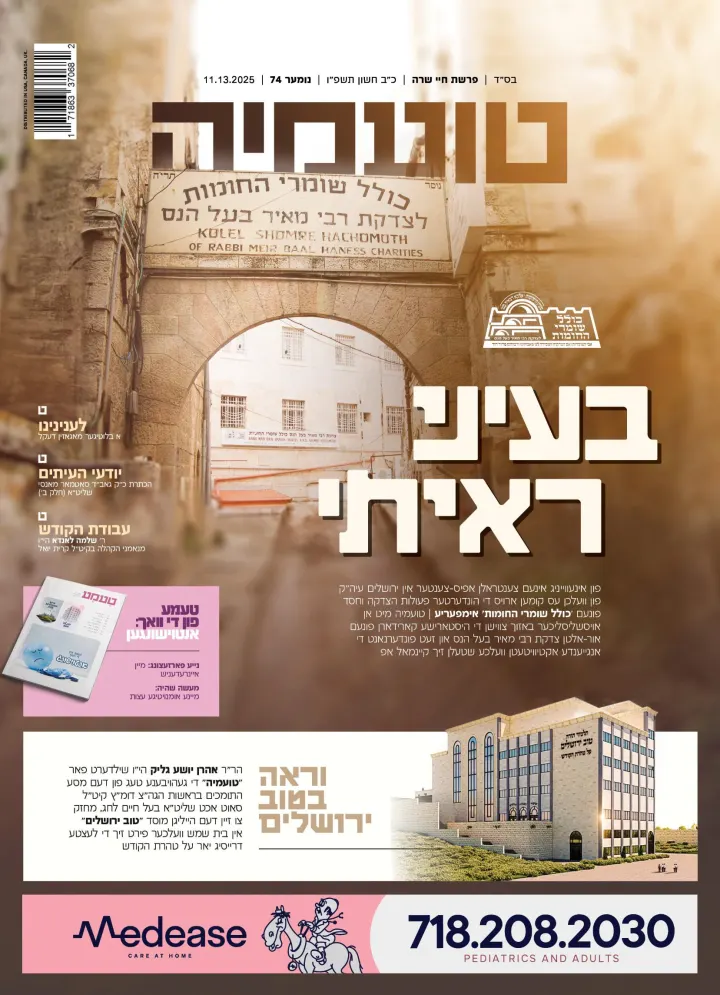 Graphic design by Avrumy, New York design studio (286)
