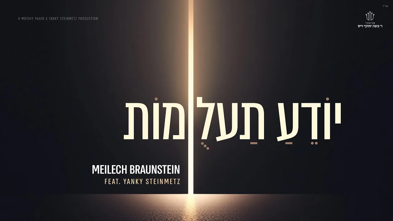 Yodeah Ta’alumos - Meilech Braunstein feat. Yanky Steinmetz | יודע תעלומות - מיילך ברוינשטיין — music artwork by Avrumy