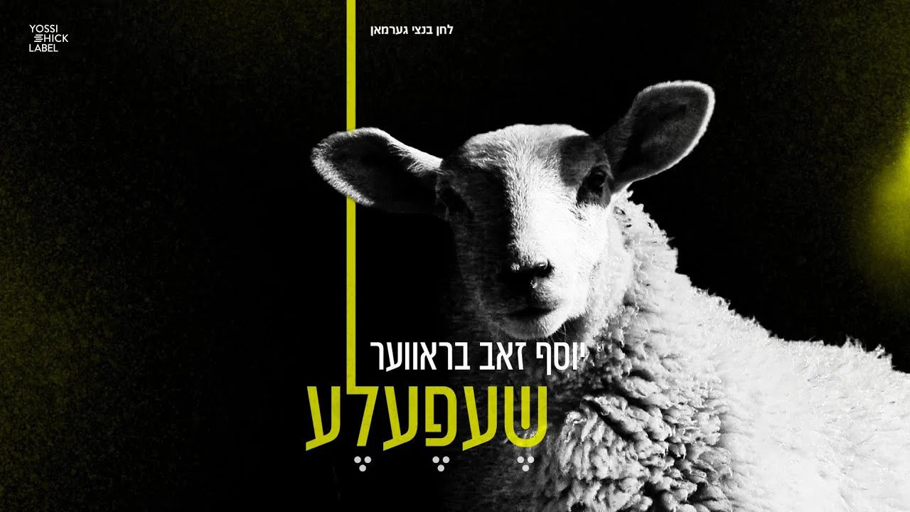 Shefele - Yosef Zev Braver | שעפעלע - יוסף זאב בראווער — music artwork by Avrumy