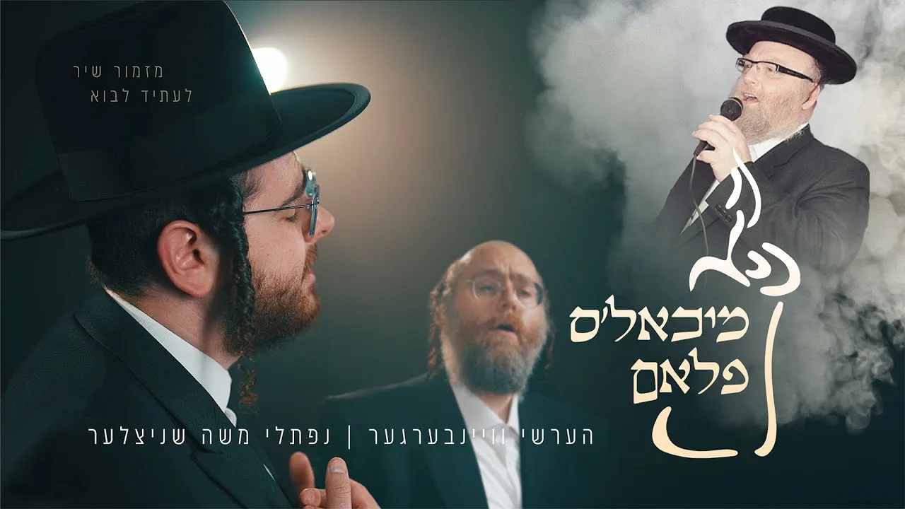 מיכאל׳ס פלאם-הערשי וויינבערגער, נפתלי שניצלער | Michoel’s Flam-Hershy Weinberger, Naftali Schnitzler — music artwork by Avrumy