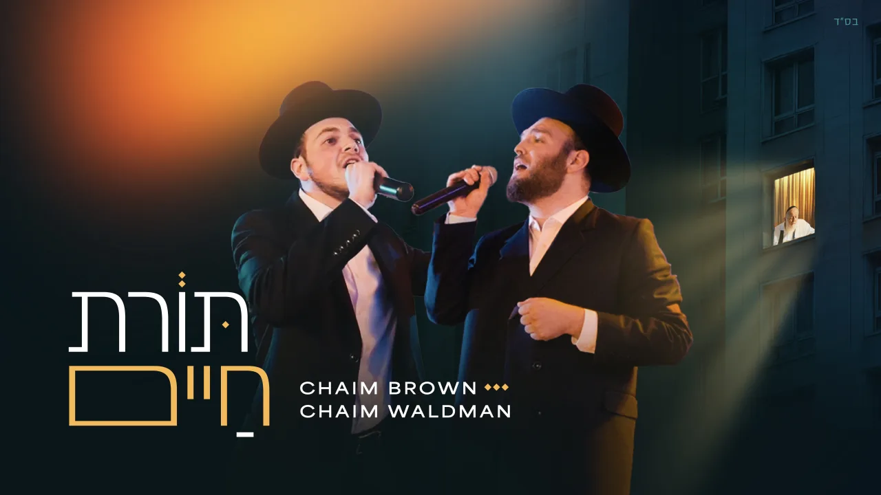 Toras Chaim - Chaim Brown & Chaim Waldman | תורת חיים - חיים ברוין וחיים וואלדמאן — music artwork by Avrumy